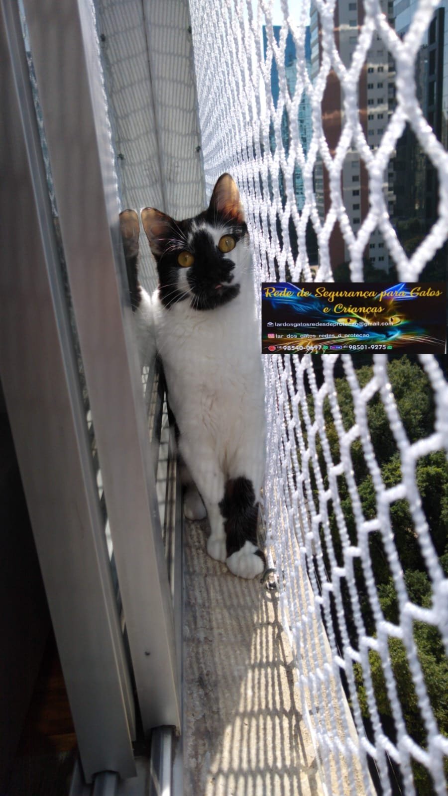 Foto de instalação 8